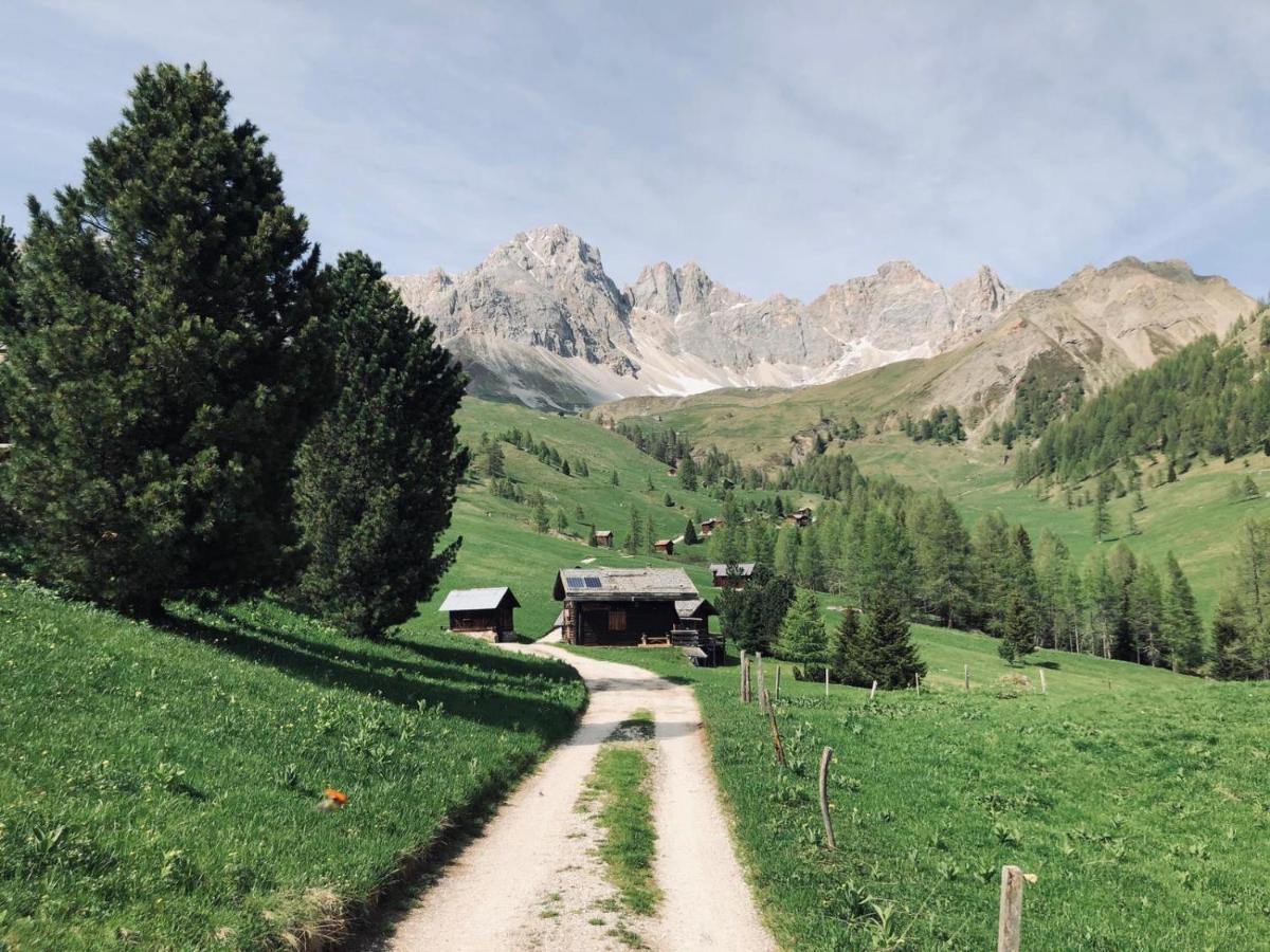 Casa Soia Lägenhet Falcade Exteriör bild