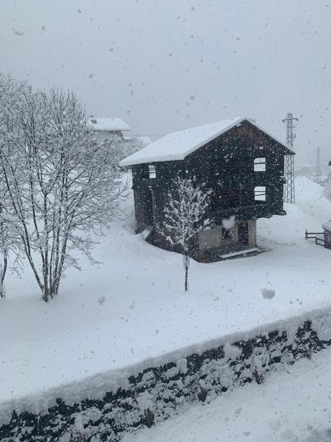 Casa Soia Lägenhet Falcade Exteriör bild