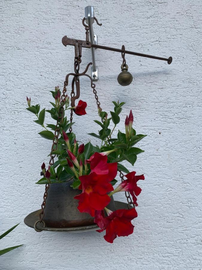 Casa Soia Lägenhet Falcade Exteriör bild