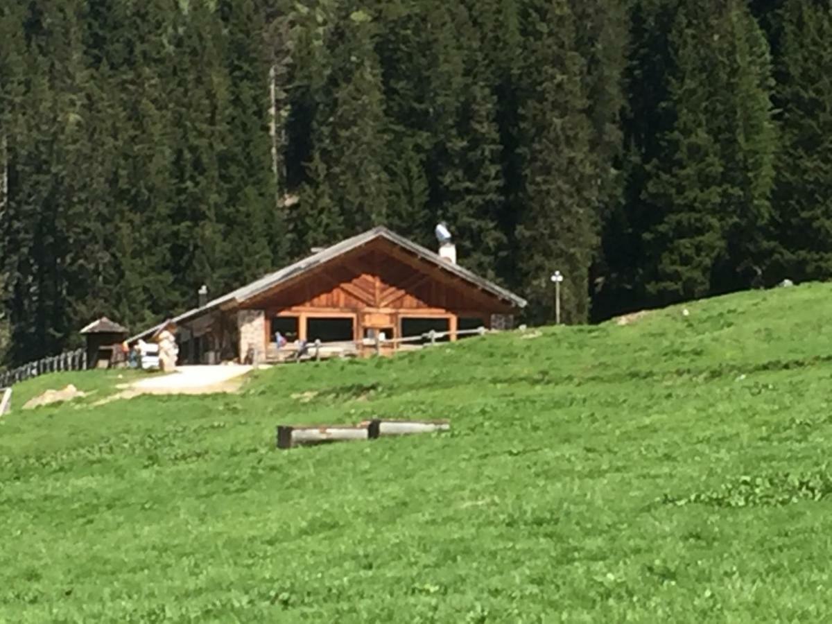 Casa Soia Lägenhet Falcade Exteriör bild