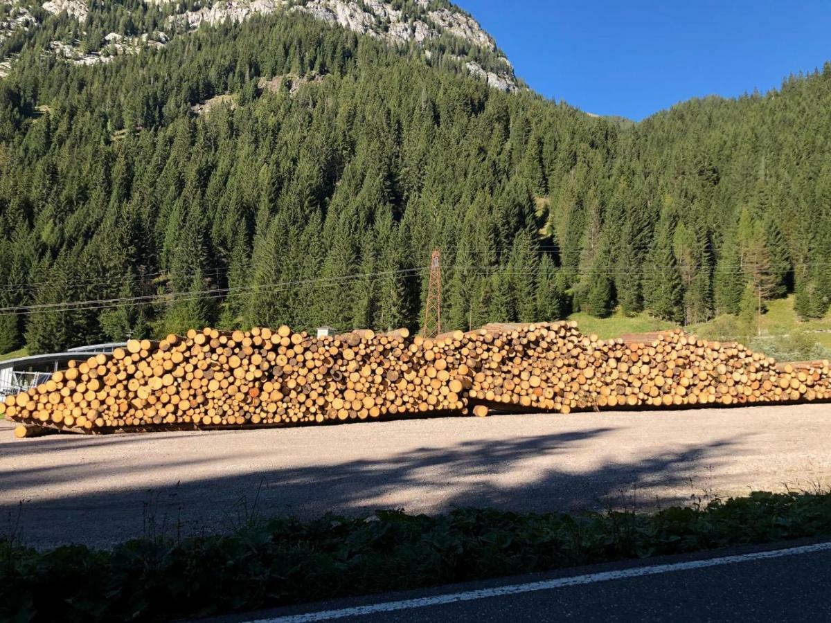 Casa Soia Lägenhet Falcade Exteriör bild
